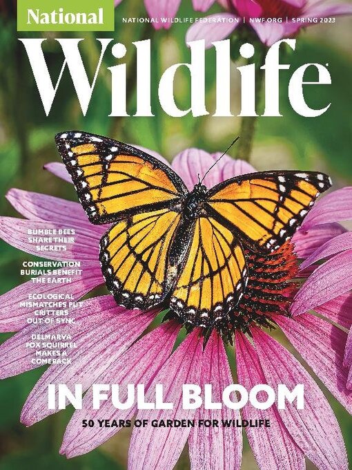 Title details for National Wildlife by National Wildlife Federation - Available